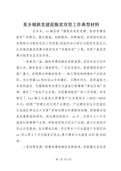 某乡镇抓党建促脱贫攻坚工作典型材料 (2).docx