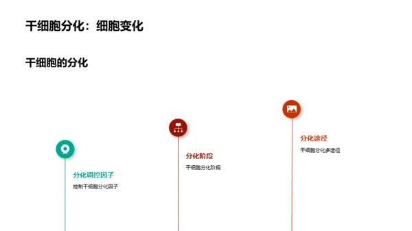 干细胞：医学的新篇章