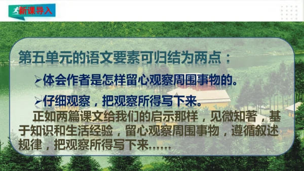 部编版语文三年级上册：第五单元习作例文我家的小狗vs我爱故乡的杨梅   课件（共22张PPT）