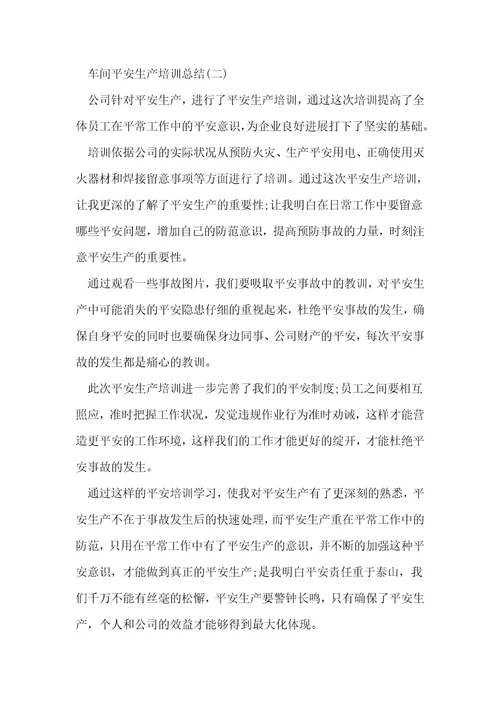 2022车间安全生产培训总结5篇