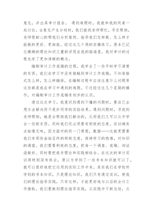 审计实习报告_5.docx