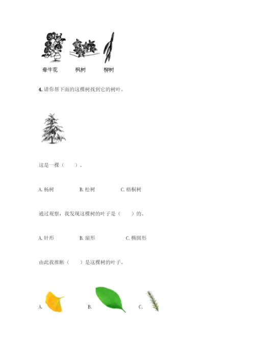 教科版科学一年级上册第一单元 植物 测试卷精品【精选题】.docx