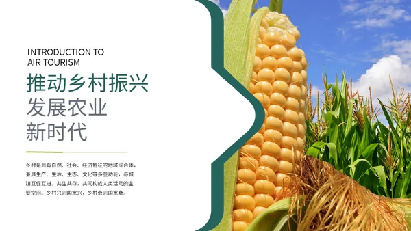 实拍笔刷风格美丽乡村农业介绍新时代农业农村现代化ppt模板