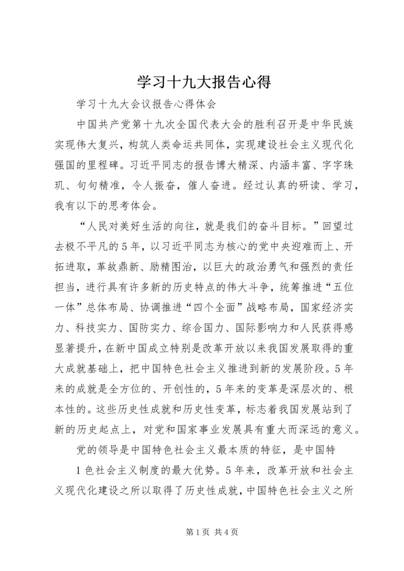 学习十九大报告心得 (7).docx