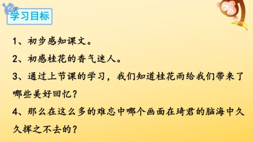 3 桂花雨   课件