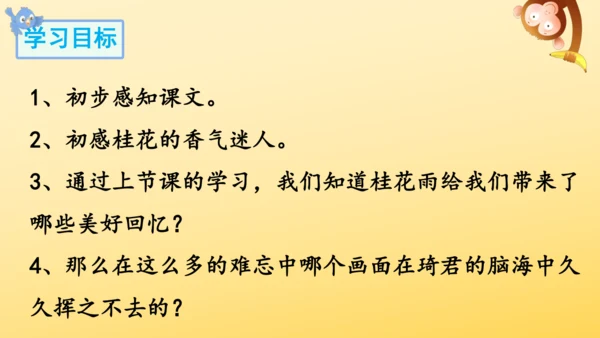3 桂花雨   课件