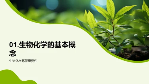 生物化学与环保新视角