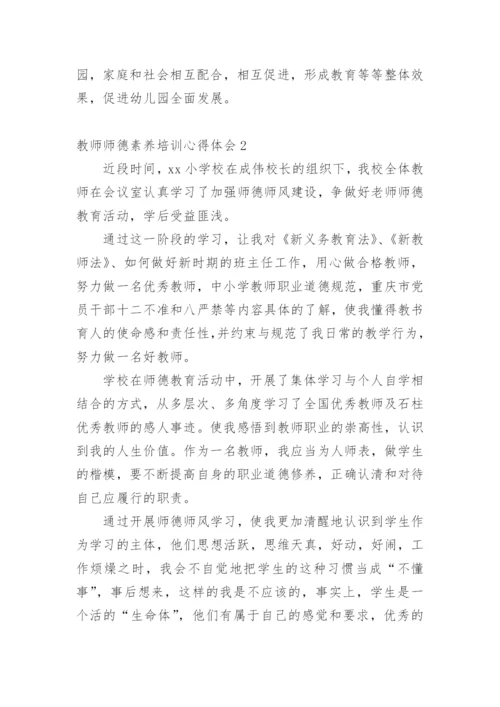 教师师德素养培训心得体会.docx