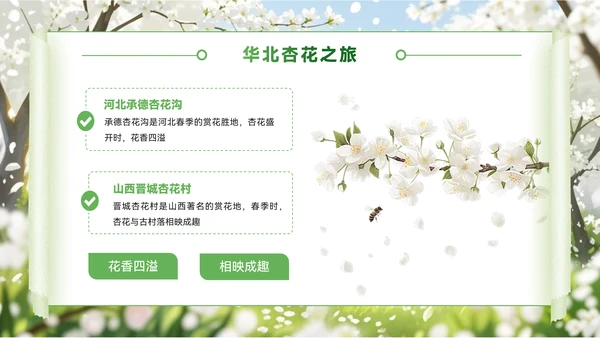 绿色创意风节PPT模板_赏花季的浪漫旅行地PPT模板