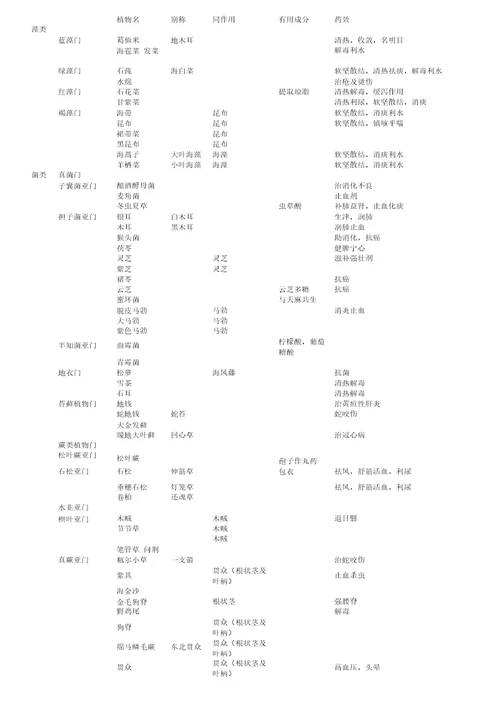 药用植物学常见药物及功效