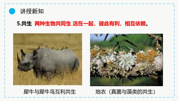 1.2.1生物与环境的关系课件2023--2024学年人教版生物七年级上册(共30张PPT)