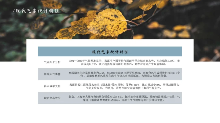 瓷青色简约风寒露节气PPT模版