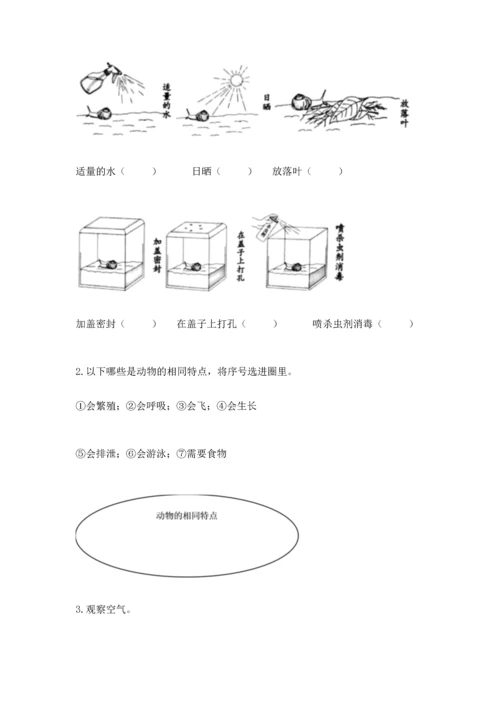 教科版一年级下册科学期末测试卷有精品答案.docx
