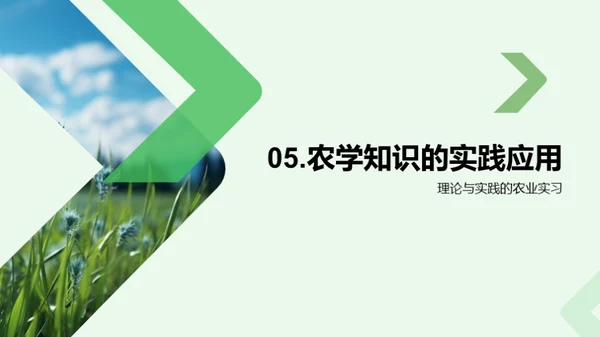 稻田科学种植