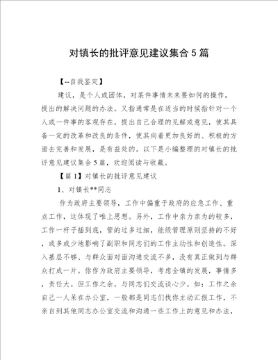 对镇长的批评意见建议集合5篇