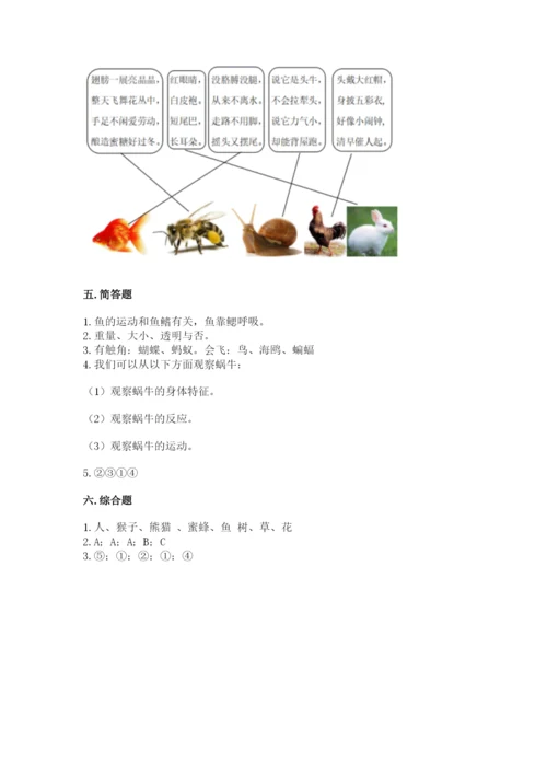 教科版一年级下册科学期末测试卷（a卷）.docx