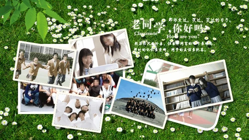青春不散场阳光绿草通用PPT电子相册