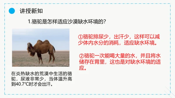 1.2.1生物与环境的关系课件2023--2024学年人教版生物七年级上册(共30张PPT)