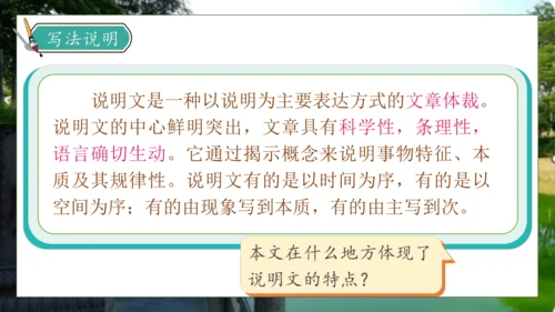 【核心素养】部编版语文三年级下册-11. 赵州桥 第2课时（课件）