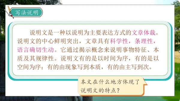 【核心素养】部编版语文三年级下册-11. 赵州桥 第2课时（课件）
