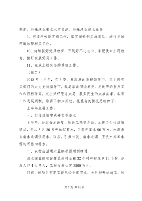 水务局XX年上半年工作总结和下半年工作安排精选十篇.docx