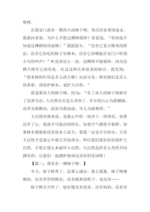 描写柿子树的作文.docx
