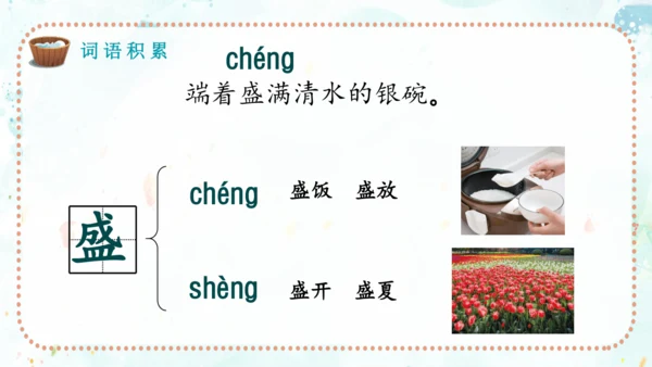 第17课《难忘的泼水节》（课件）