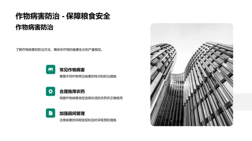 春分农事应对策略PPT模板
