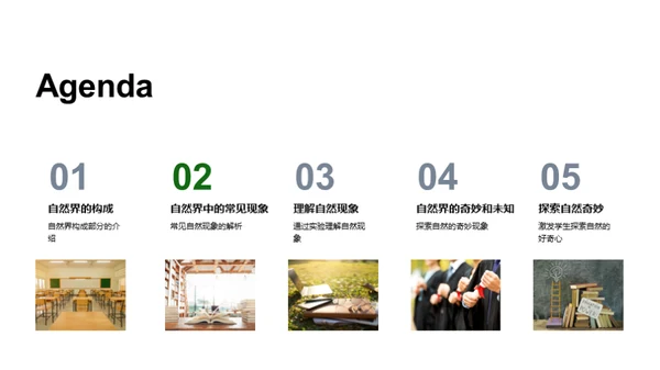 探秘自然世界