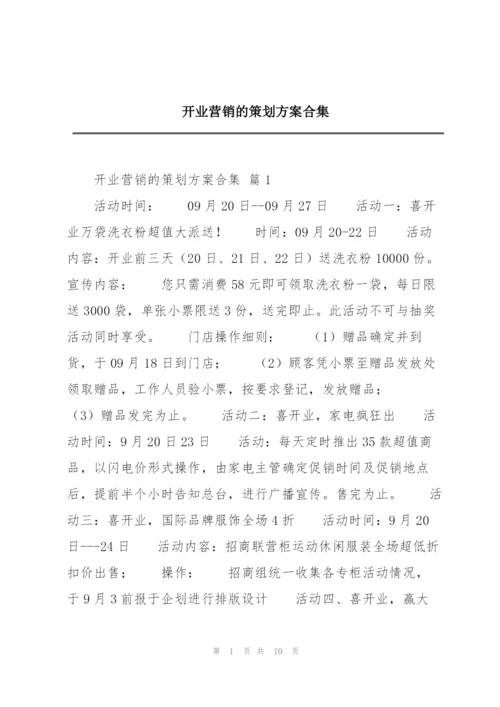 开业营销的策划方案合集.docx