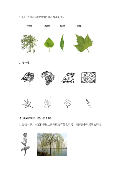 教科版科学一年级上册第一单元植物测试卷附完整答案夺冠系列