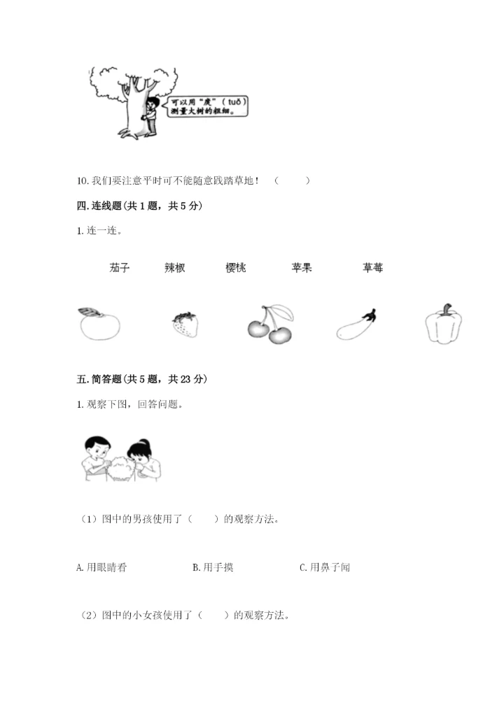 教科版一年级上册科学期末测试卷（必刷）.docx