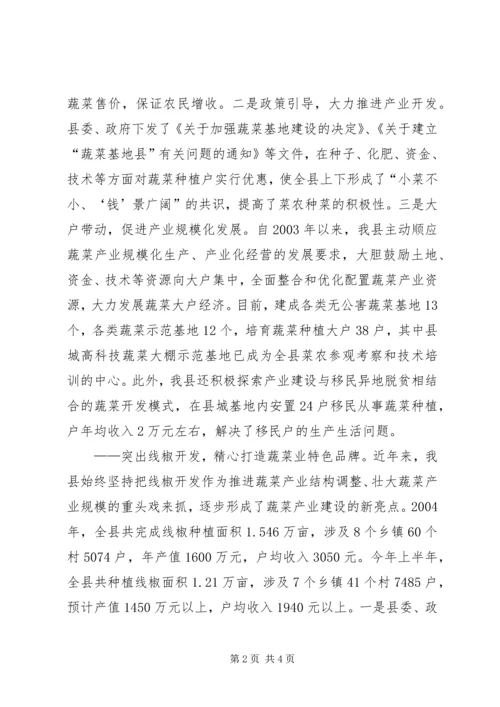 做强蔬菜产业　壮大农业经济 (4).docx