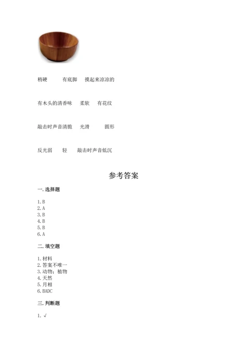 教科版科学二年级上册《期末测试卷》精品（必刷）.docx