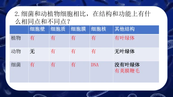 人教版生物七年级上册2.3.2《细菌》课件(共24张PPT)