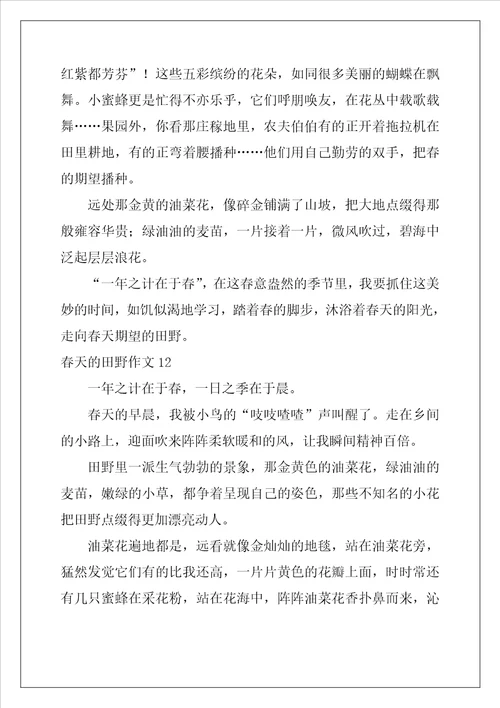 春天的田野作文12篇