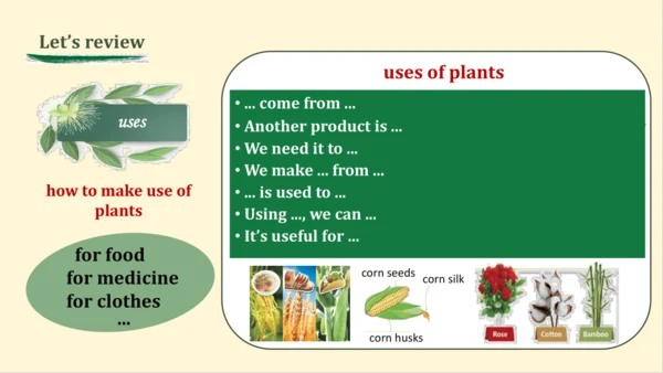 2024年外研版七年级英语上册Unit 6 The power of plants Presenti