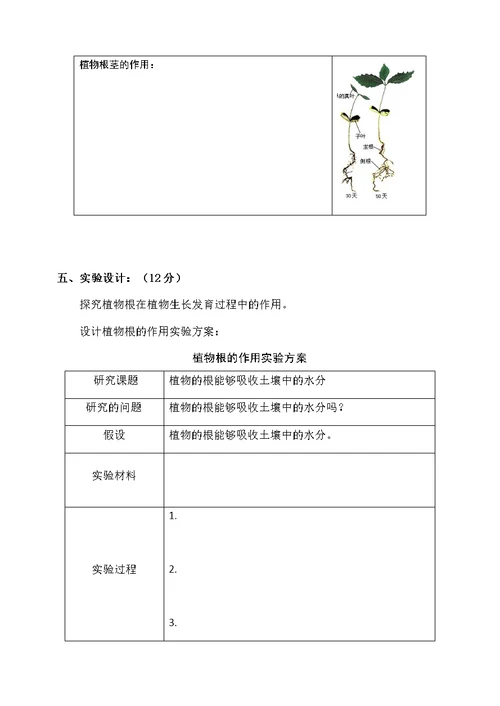 教科版小学科学三年级下册各单元练习题