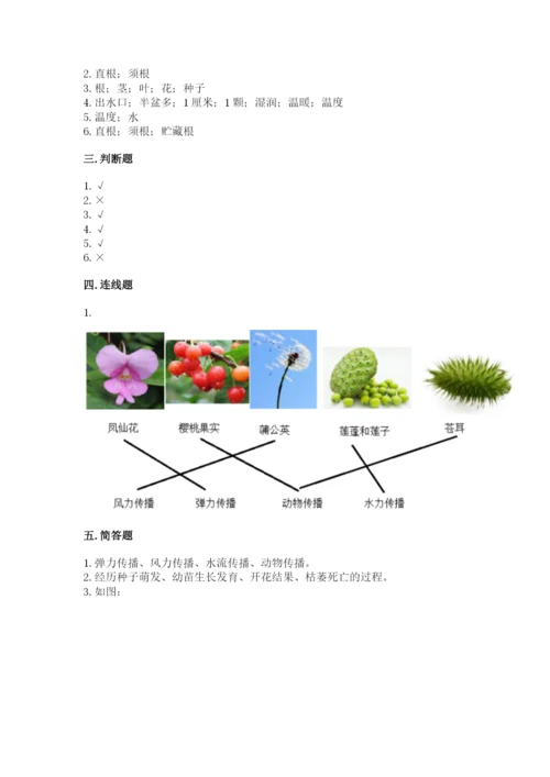 科学四年级下册第一单元《植物的生长变化》测试卷【轻巧夺冠】.docx