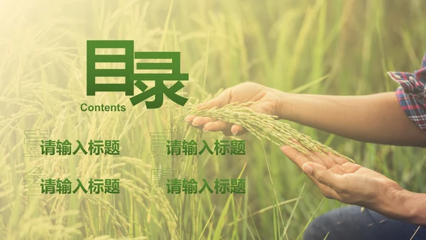 简约实景农民丰收佳节工作汇报PPT模板