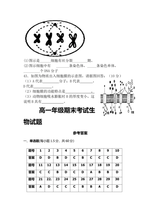 高一生物期末考试题.docx