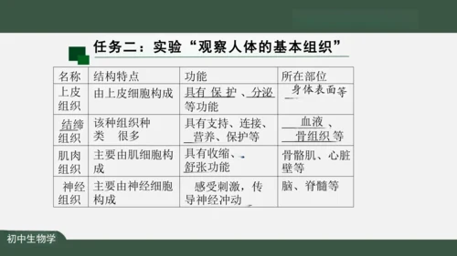 2.2.2 动物体的结构层次 课件（共24张PPT）