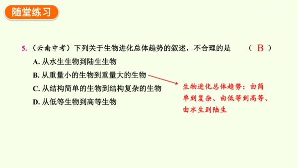 7.3.2生物进化的历程-八年级生物人教版下学期同步精品课件(共34张PPT)