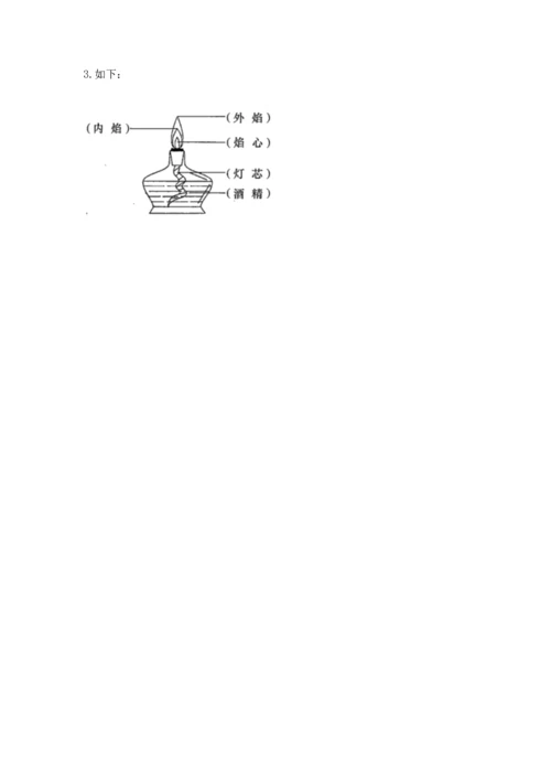 教科版三年级上册科学期末测试卷精品【夺冠系列】.docx