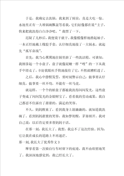 那一刻,我长大了优秀作文