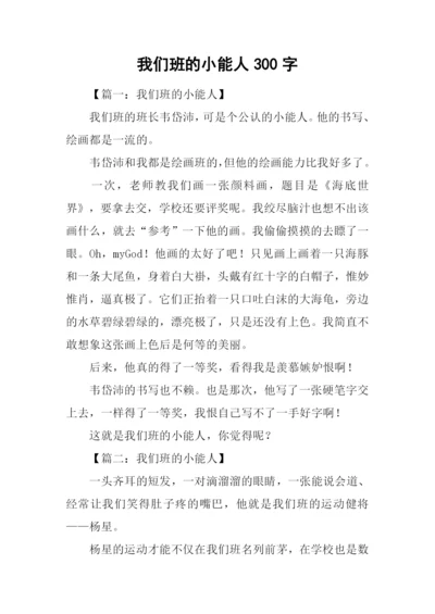 我们班的小能人300字.docx