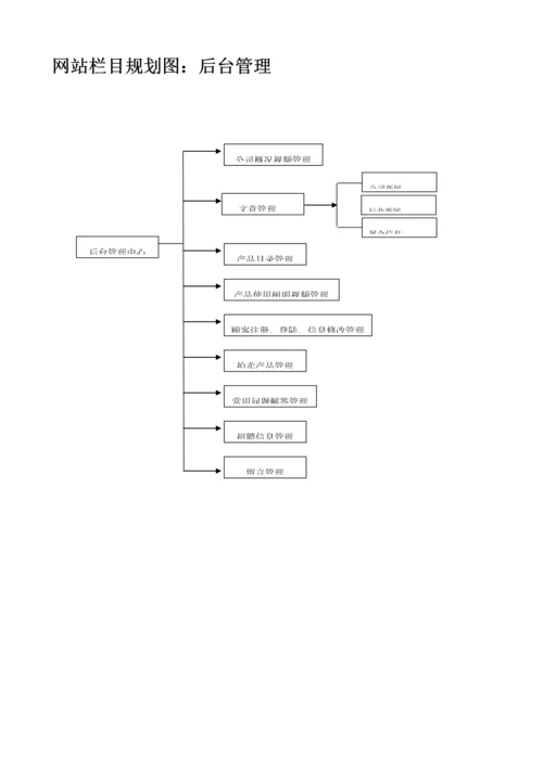 电子公司网站专题策划专题方案.docx