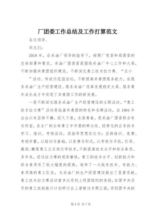 厂团委工作总结及工作打算范文.docx