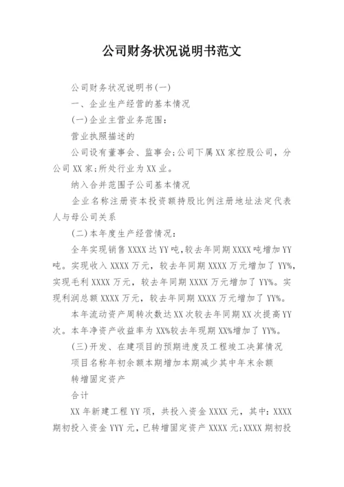 公司财务状况说明书范文.docx