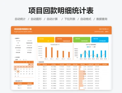 项目回款明细统计表